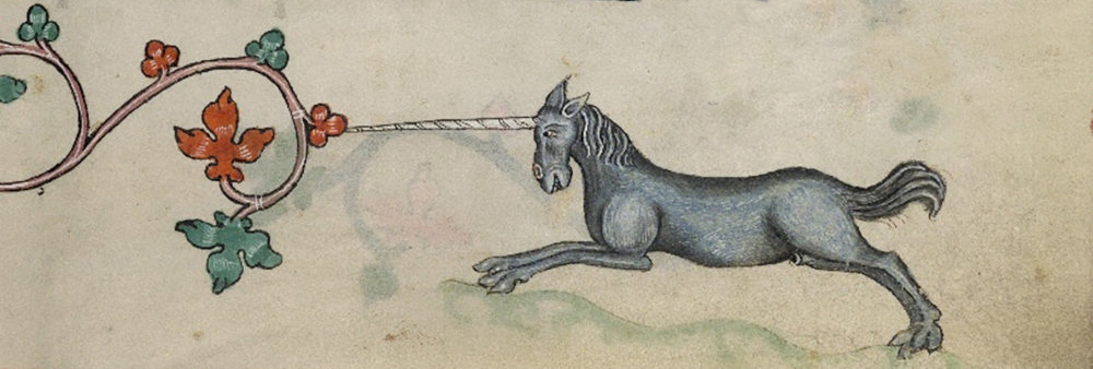 Marginalia unicorn